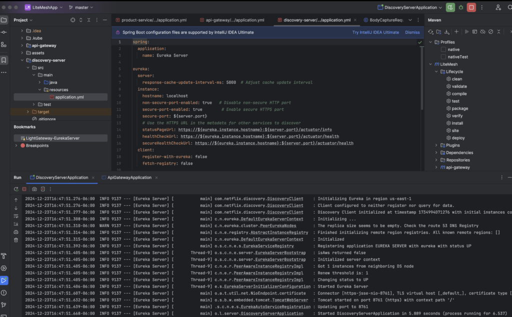 LiteMesh Gateway Discovery Server