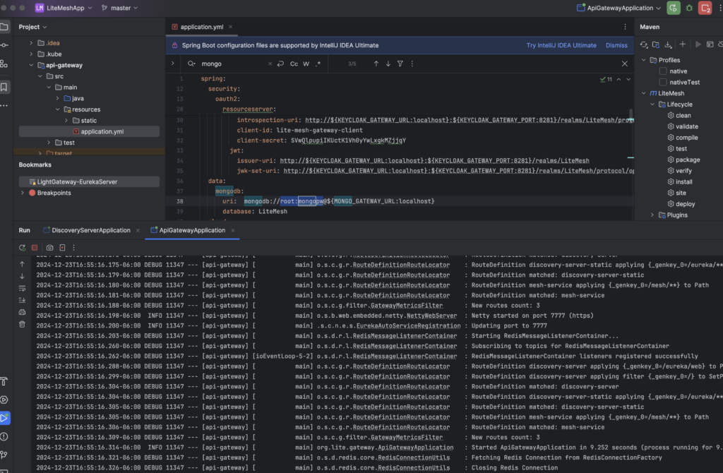 LiteMesh Api Gateway Service